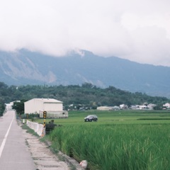 臺東縱谷的稻田，遠方是被雲蓋住的山，田邊有一條道路和一棟白色倉庫。